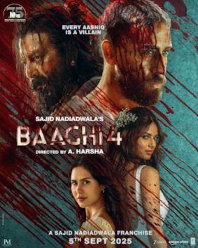 Baaghi 4 box office collection